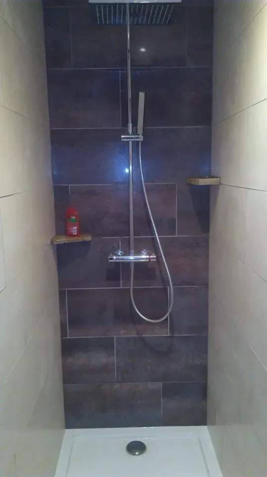 salle-bain-douche